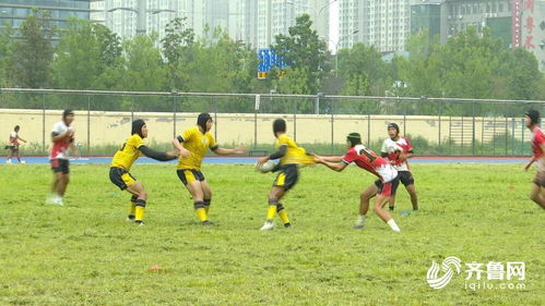 全民健身 共享奥运 橄 把小众玩出彩 山东橄榄球够 野蛮