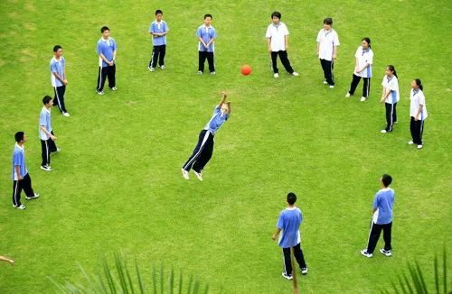 高学历运动健将,从奥运学霸身上,我们能看到什么