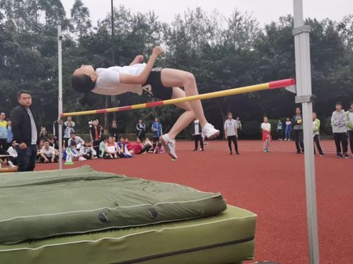 新川高一教师团队集结完毕，初升高衔接盛会邀您共襄其举