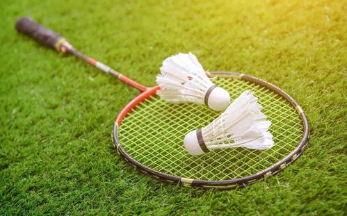 热烈祝贺广东世纪城羽毛球俱乐部成为中国羽协羽毛球运动水平测试机构