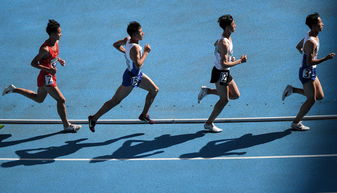 田径体校甲组男子10000米决赛落幕，石智江强势夺冠展现运动精神